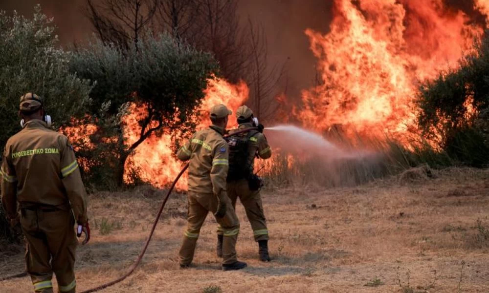 Δήμος Κασσάνδρας για φωτιές : «Με τη βοήθεια όλων σας καταφέραμε να αποτρέψουμε τα χειρότερα»